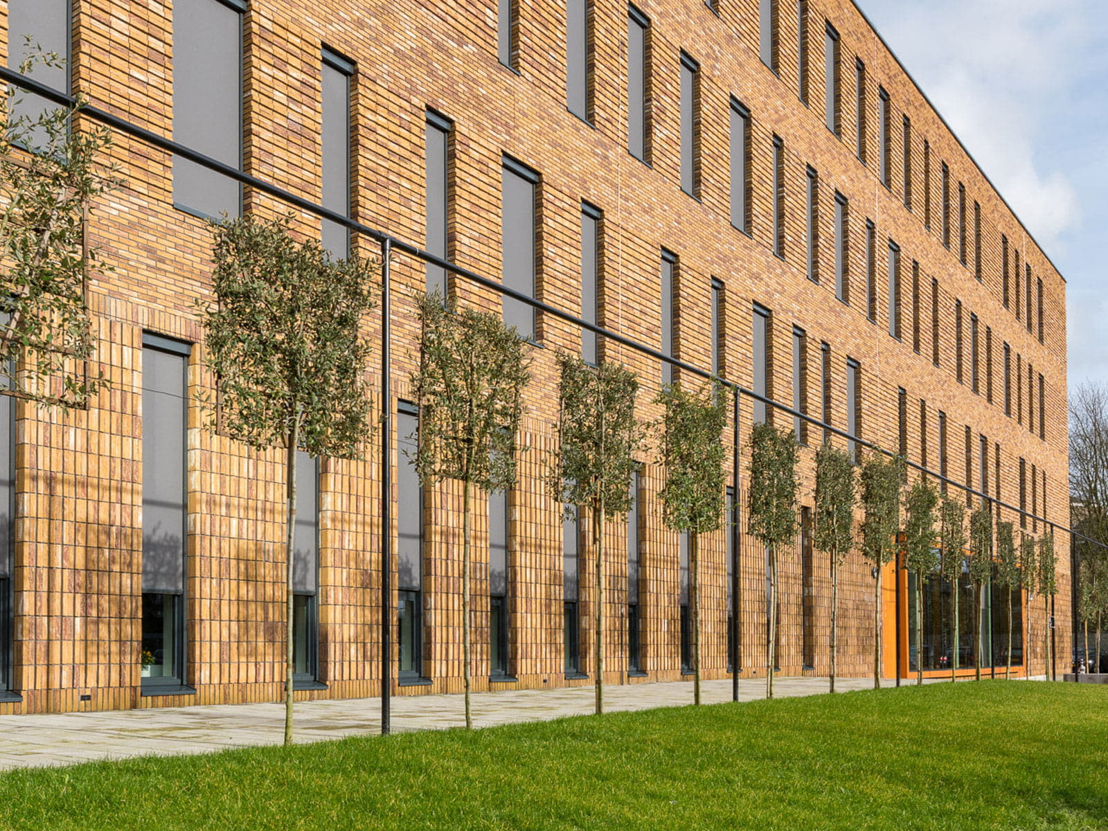 Stenen van het hoornbeeck college in rotterdam met daarvoor leilinde