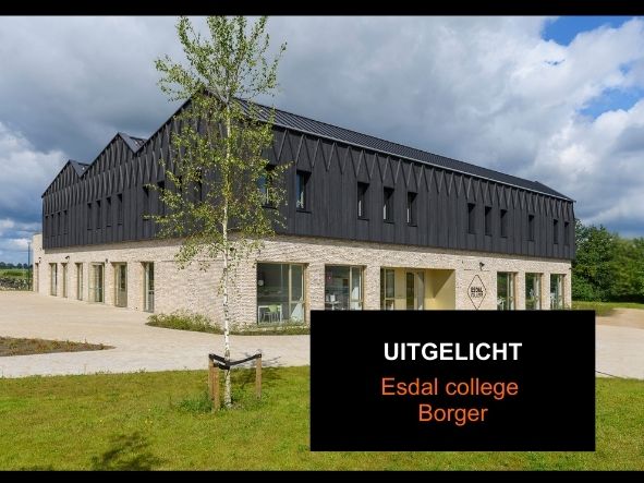 Blog Esdal college Borger - gevelstenen en mortel - Aberson